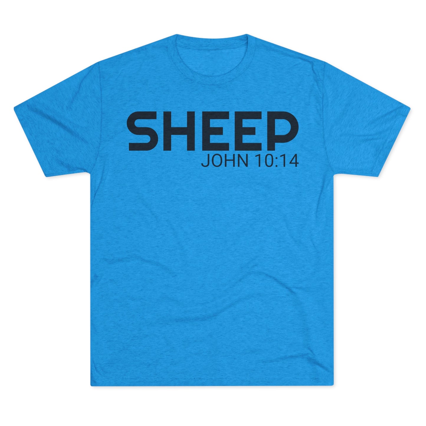 We are His sheep - He is the Shepherd (Men's)