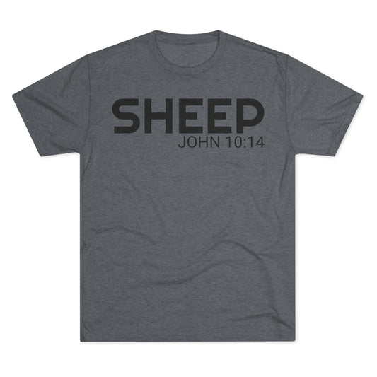 We are His sheep - He is the Shepherd (Men's)